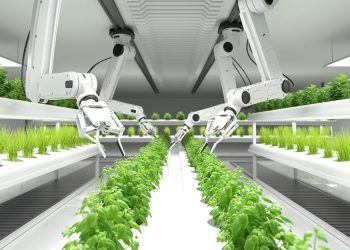 ไฮโดรโปนิกส์คืออะไร