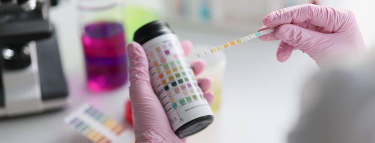 litmus-test-paper-analysis