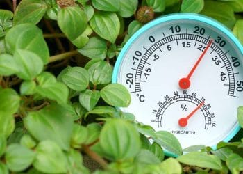 รู้จักเครื่องมือวัดความชื้นคือ