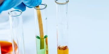 กระดาษลิตมัสคือ