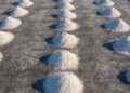 salt