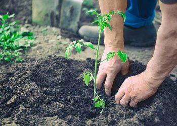 รู้จักเครื่องมือวัดดิน