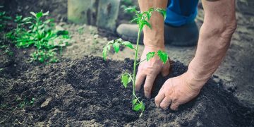 รู้จักเครื่องมือวัดดิน