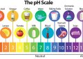 ค่า pH คืออะไร? ทำความเข้าใจพื้นฐานกรดและด่าง