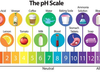 ค่า pH คืออะไร? ทำความเข้าใจพื้นฐานกรดและด่าง