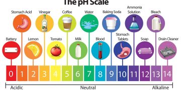 ค่า pH คืออะไร? ทำความเข้าใจพื้นฐานกรดและด่าง