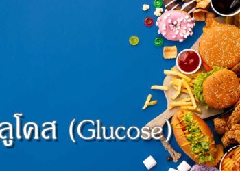 กลูโคส (glucose)
