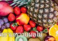 วัดความหวานผลไม้