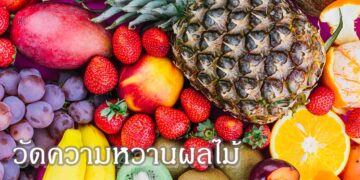 วัดความหวานผลไม้