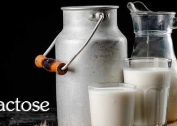 แลคโตส (Lactose)