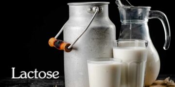 แลคโตส (Lactose)