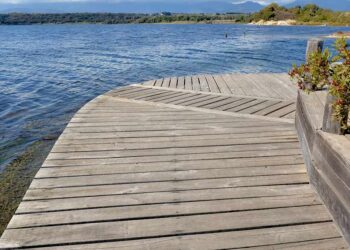 หน่วยวัดความเค็ม