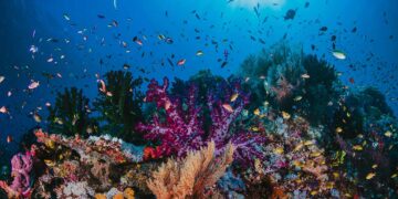 วัดความเค็มของน้ำ