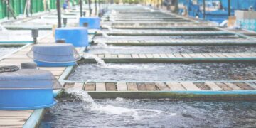 ค่ามาตรฐานออกซิเจนในน้ำ