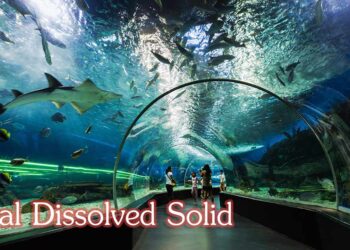 ค่า TDS เลี้ยงปลา