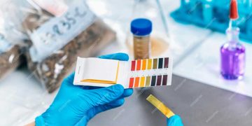 ลิตมัสคือ